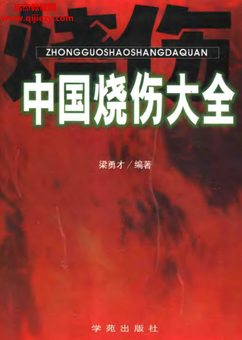梁勇才编著中国烧伤大全电子书pdf百度网盘下载学习